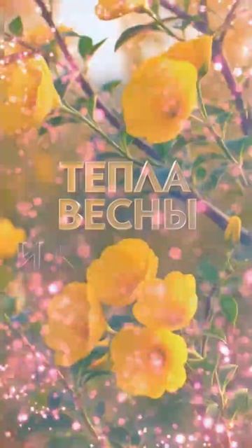 видео поздравление