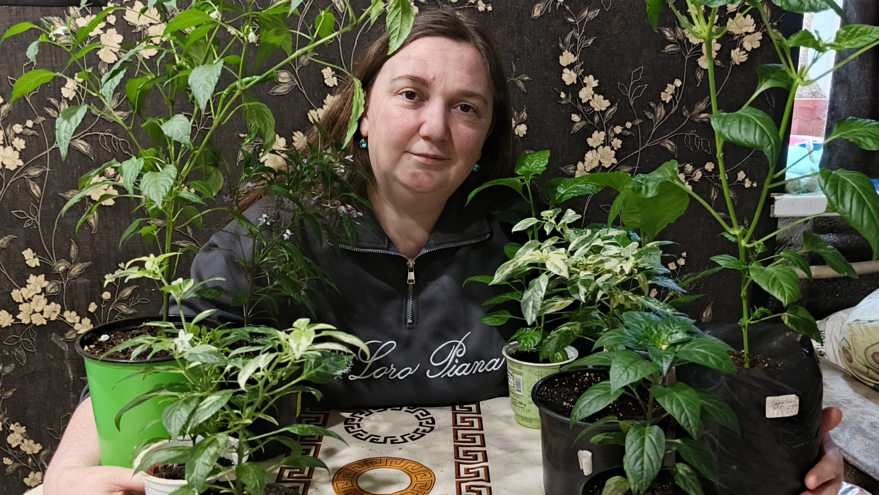 Такого со мной ещё не случалось! Покупатель диктует мне цены на рассаду🤦🤦🤦