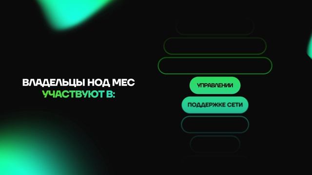 Bitnest - презентация