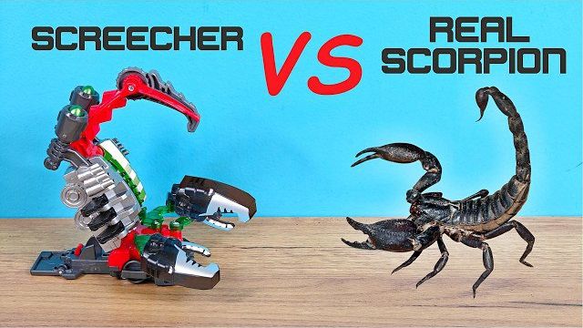 Дикий Скричер против живого Скорпиона! Обзор новинок 5 сезона!
