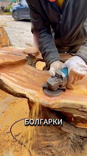 Старое дерево превратилось в шедевр