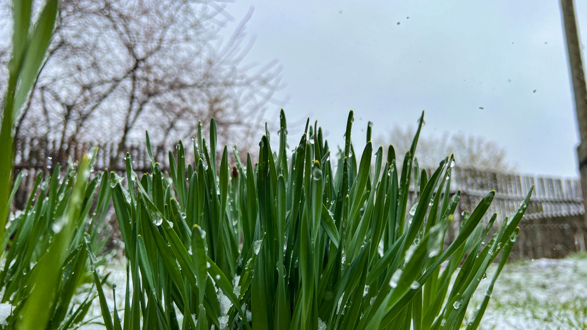 2026 4 апр 30 снежный апрель (снегопад)