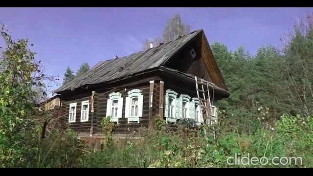 видели оборотня в деревне волковицы в детстве