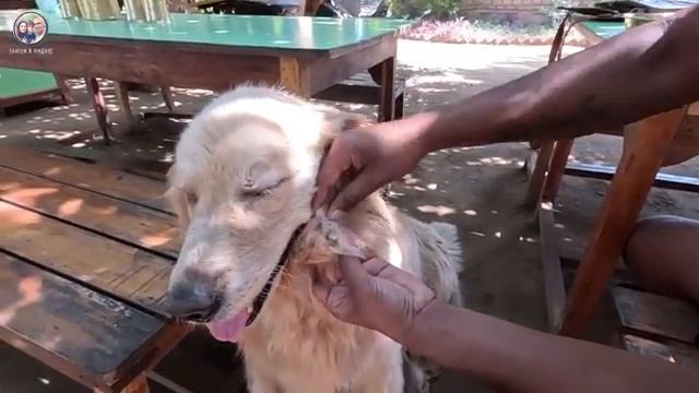 КЕМ ОКАЗАЛСЯ ВЛАДЕЛЕЦ ФЕРМЫ Зачем он взял у меня интервью