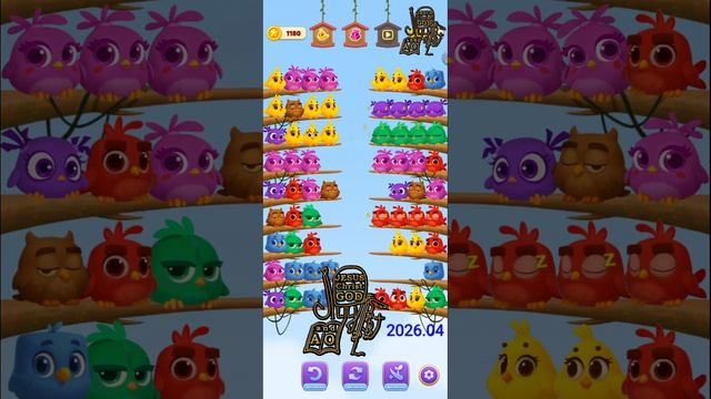 N: 03 _ Chirpy Bird.