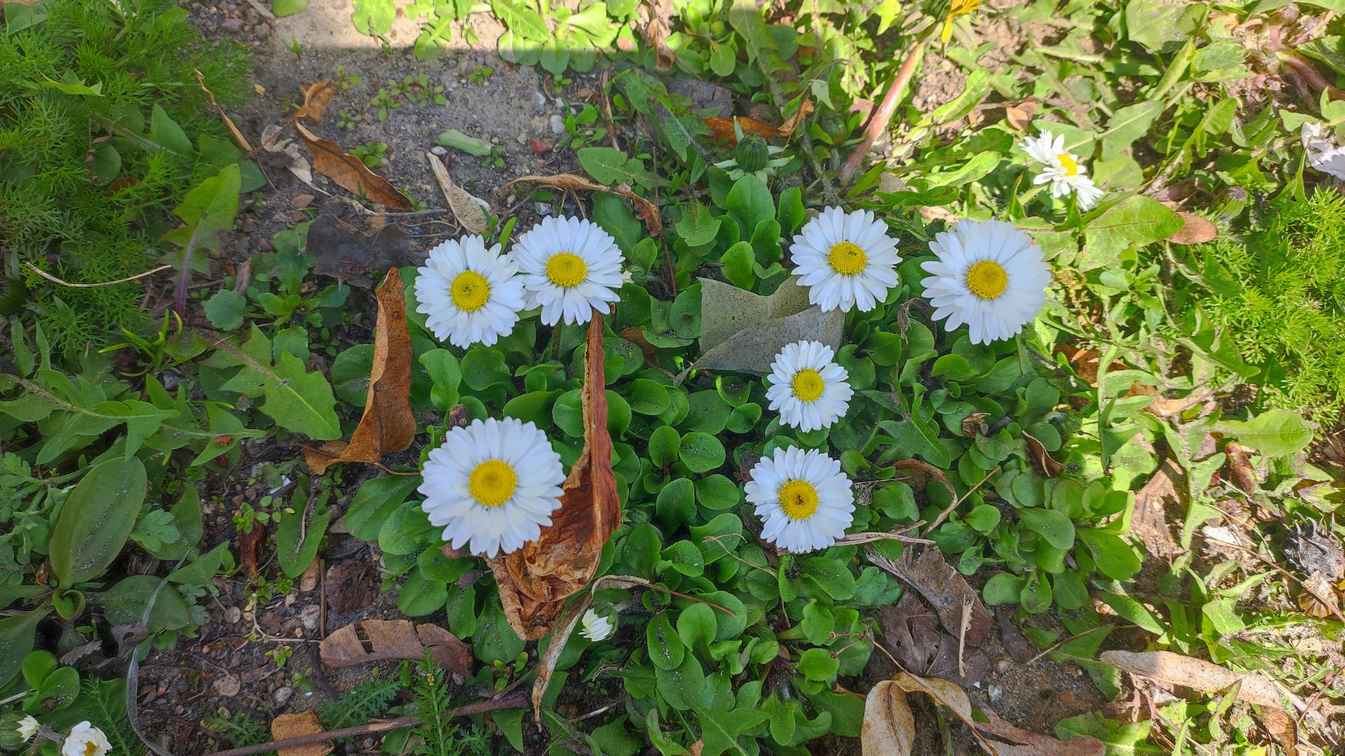 Женщина женщине - ДОМ.