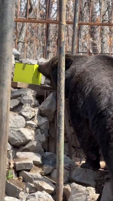 БЬЮТИ-РАСПАКОВКА ОТ БУРЖУЯ: КУРЬЕР ПЕРЕПУТАЛ АДРЕС?