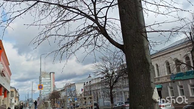 Много котиков/ Извязываю старые запасы/ прогулки