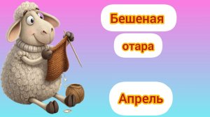Бешеная отара . Апрель