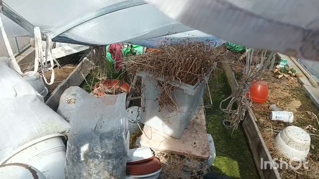 Обхожу, смотрю последствия после снежной воды