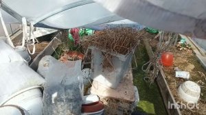 Обхожу, смотрю последствия после снежной воды