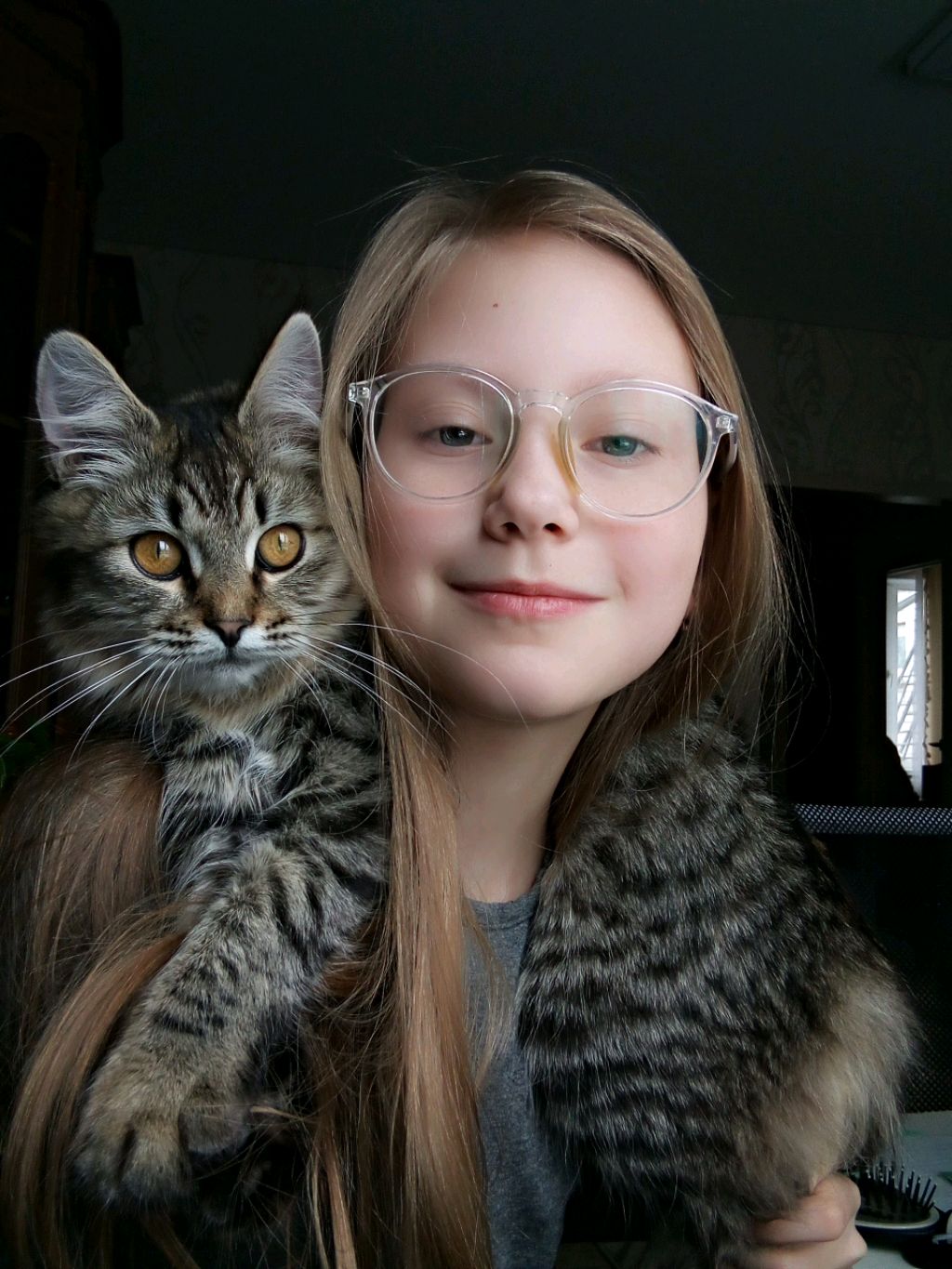 рассказываю о игрушке которые я сшила для котов ( зайдите в описание 🙏)