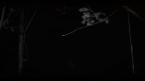 НЕЛЬЗЯ ЗАСЫПАТЬ.  ФИНАЛ.. Страшные истории на ночь.