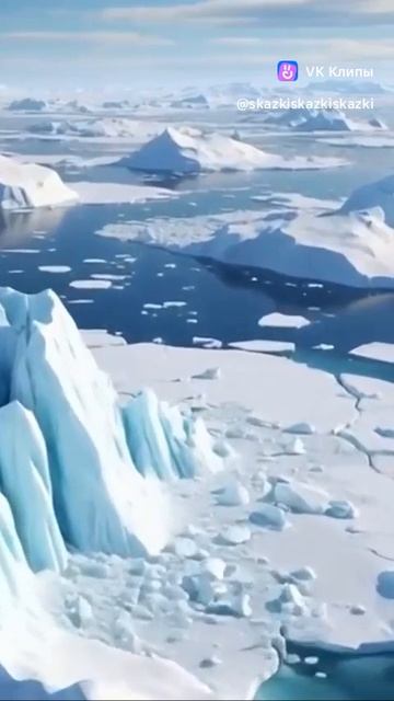 Кольчатые нерпы