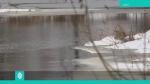 Сегодня в России отмечают День пожарной охраны