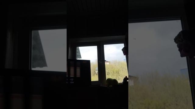 1000000586.mp4