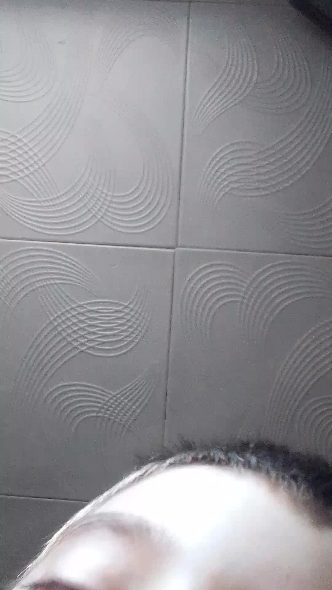 мьщуслиысомы