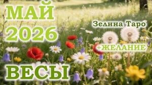 ВЕСЫ | ТАРО прогноз на МАЙ 2026 года | Желание | Расклад таро