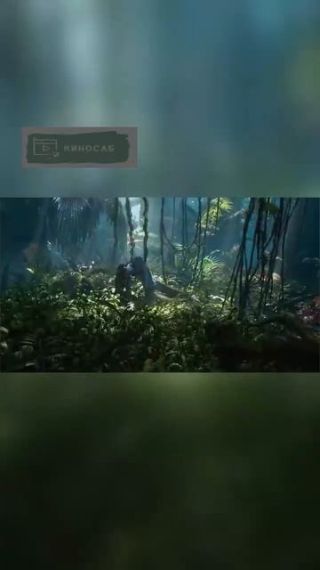 Бежим! Хроники выживания семьи Салли