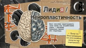 Лидия - Тема: Нейропластичность #Спикеркафе
