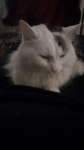 Вася доктор греет мне ноги