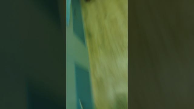 Гость