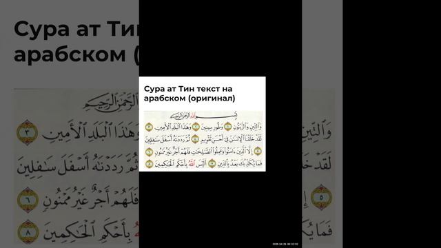 Тасхих суры Ат-Тин