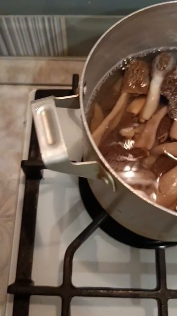 Из осинового леса  Присоединяйся к каналу по ссылке: Https://max.ru/i_love_ulyanovsk