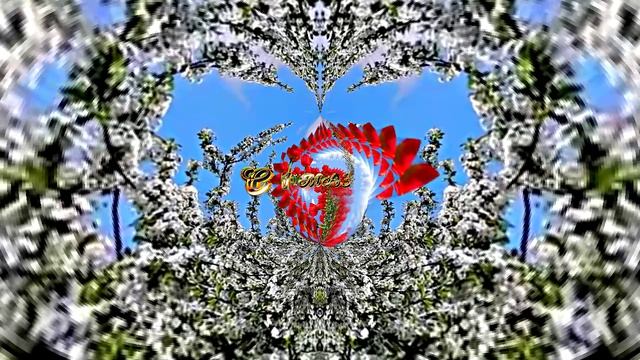 С 1 МАЯ!!! Поздравление с Праздником Весны 3 от Киностудии Мудрого Кота Тимофея!