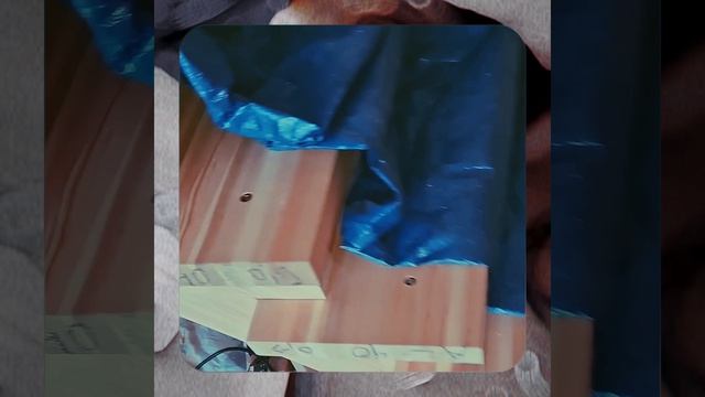 1000057337.mp4 Собака наблюдает за устройством лестницы на 2-ой этаж в доме А-фрейм