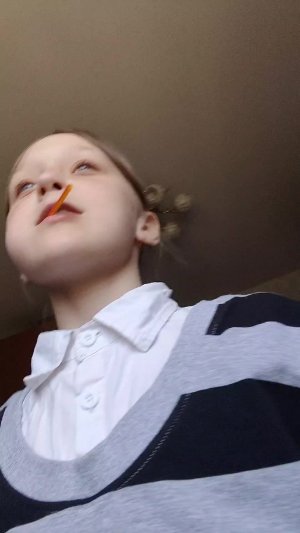 1 подписчик