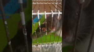 Катина комнота