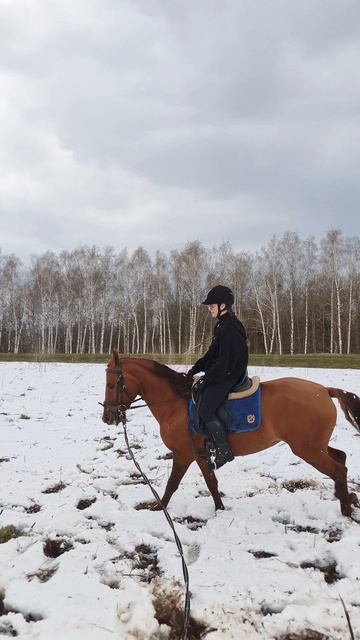 Вика и Эмбер Грейс Кас, галоп на корде, начинаем тренировки на новой лошадке.