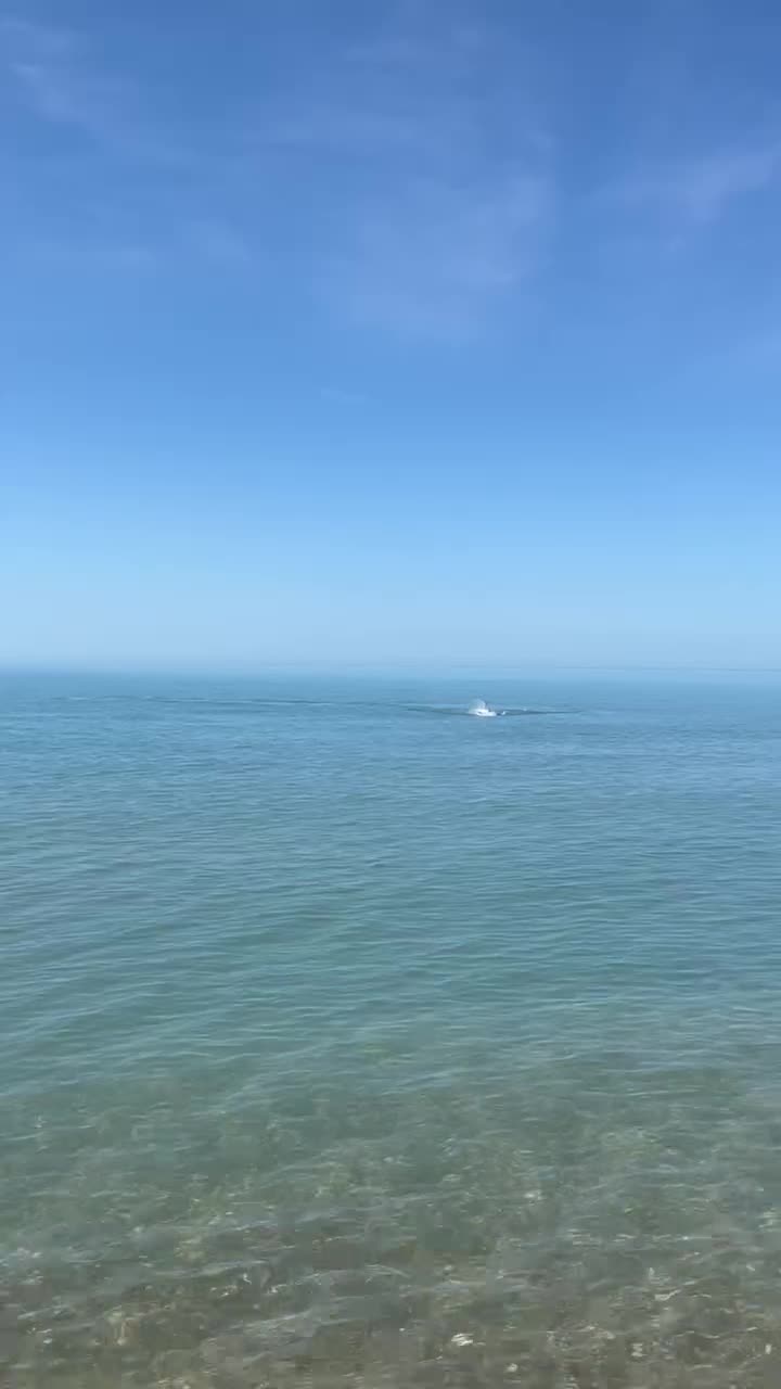 Конец мая того года в Джубге  вода наичистейшая  здорово было увидеть дельфинов