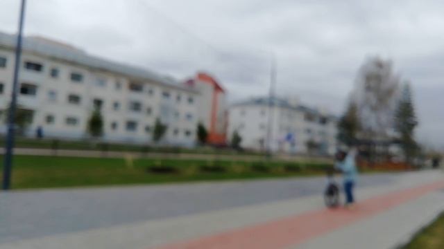 Мы пришли на Аллею Трудовой Славы смотреть дубы