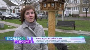 Егорьевцы выберут парки и скверы, которые будут обновлены в ближайшие годы