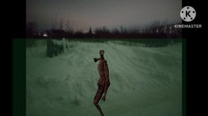 топ 21 индийского сиреноголоува, снятых на камеру. SIREN head атакует.