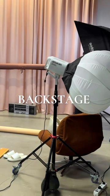 Tesoro Collezione- бренд премиальных товаров для питомцев