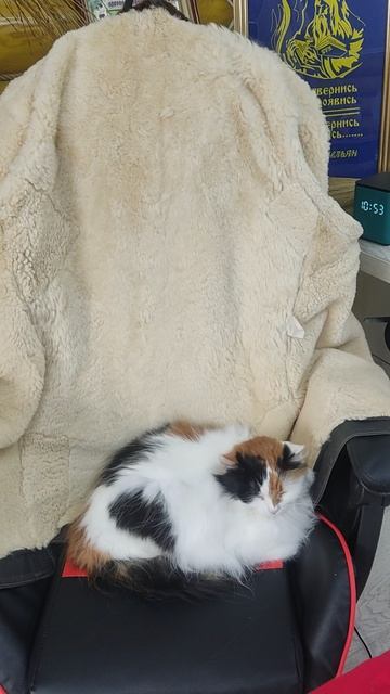 Фортуна+Удача=Успех 💯👌#новинка#психология#интересное