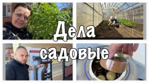 РАБОТАМ работу))помидоры В ГРЯДКАХ!!много дел я сегодня переделала...