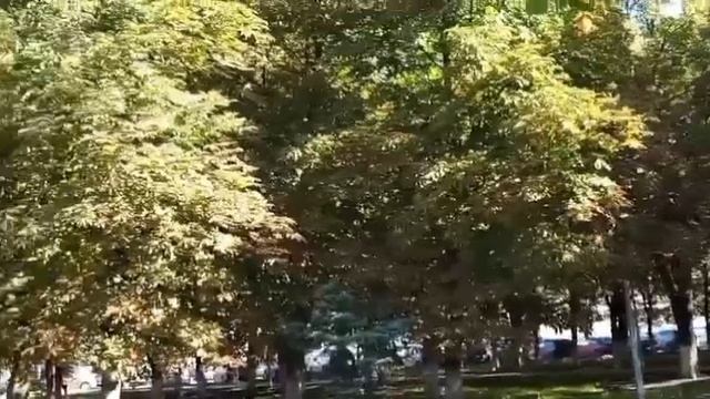 #лето как ты красиво