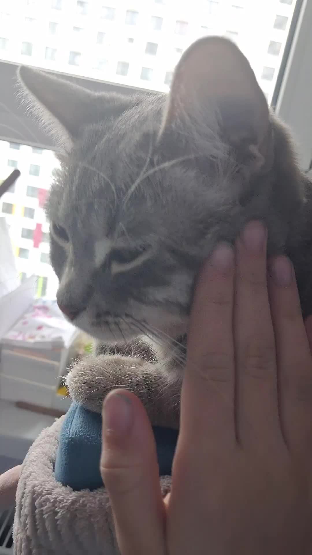 всё не буду вас мучить с трансляцией