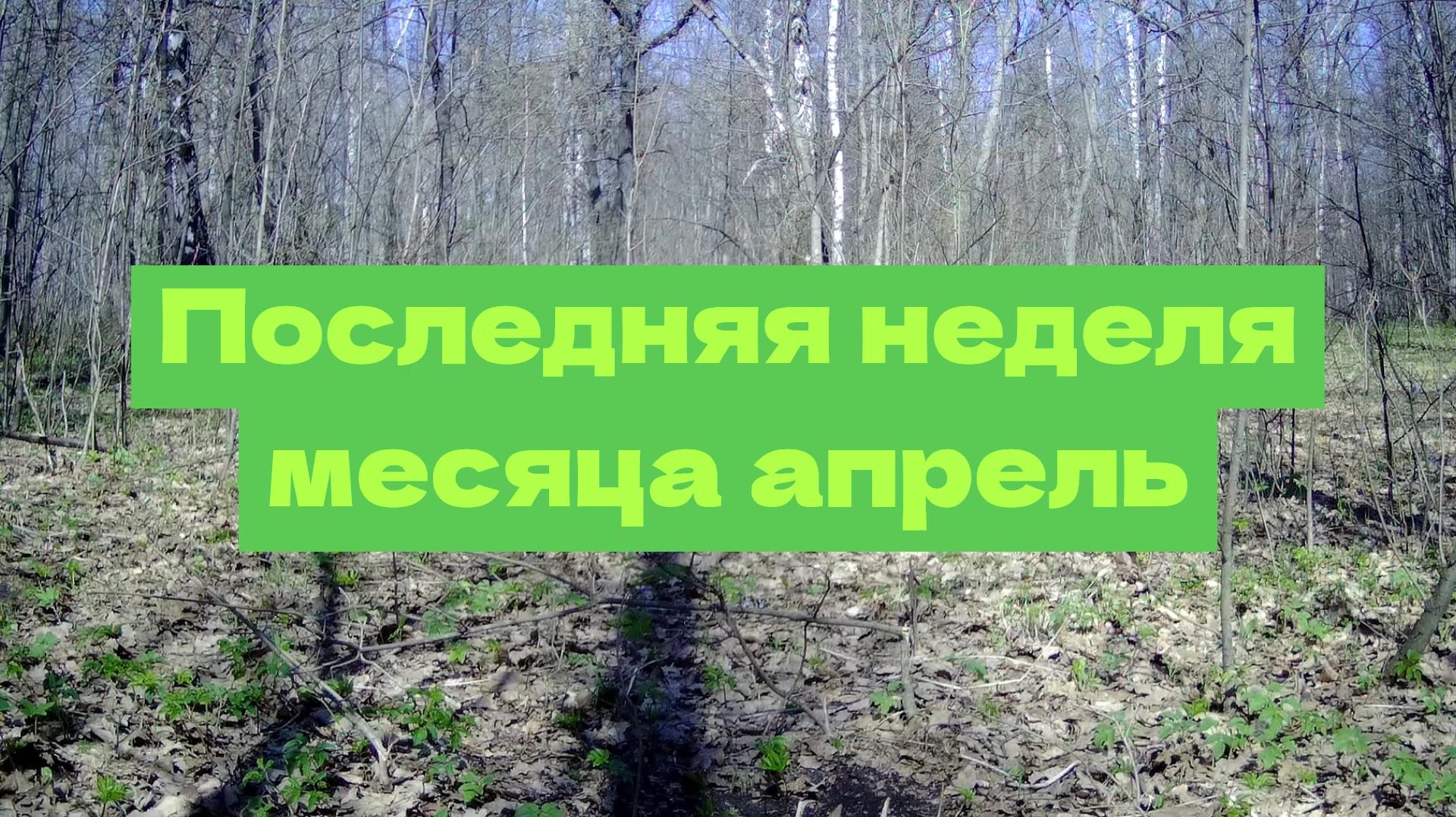 Последняя неделя месяца апрель