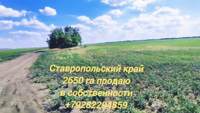 1000344796.mp4