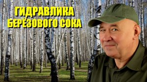 Гидравлика берёзового сока