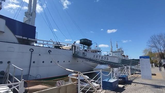 Калининград 29.04.26