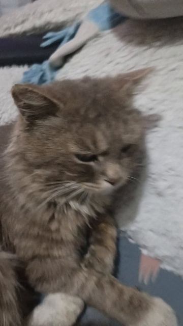 Игорь спустя год 😎😎😎😎😎😎😎