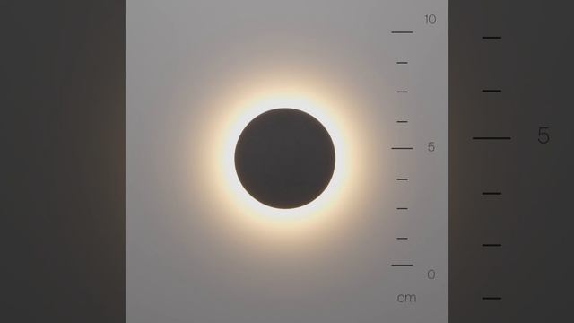 Светильник Maytoni Wald O420WL-L7GF