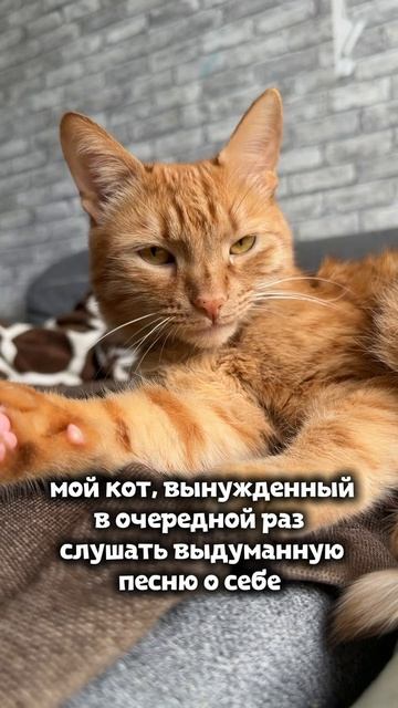выдуманая песня о себе