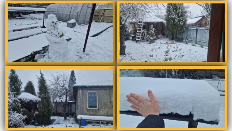Рано обрадовались! Заметает снегом в апреле.  Новые гости.